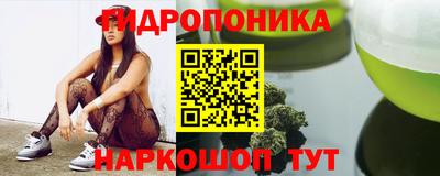 крисы Кинель
