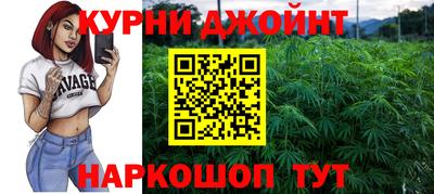 крисы Кинель