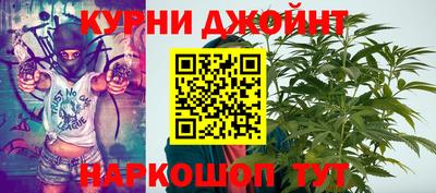 крисы Кинель