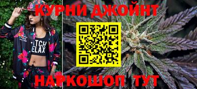 крисы Кинель