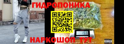 трава Кингисепп