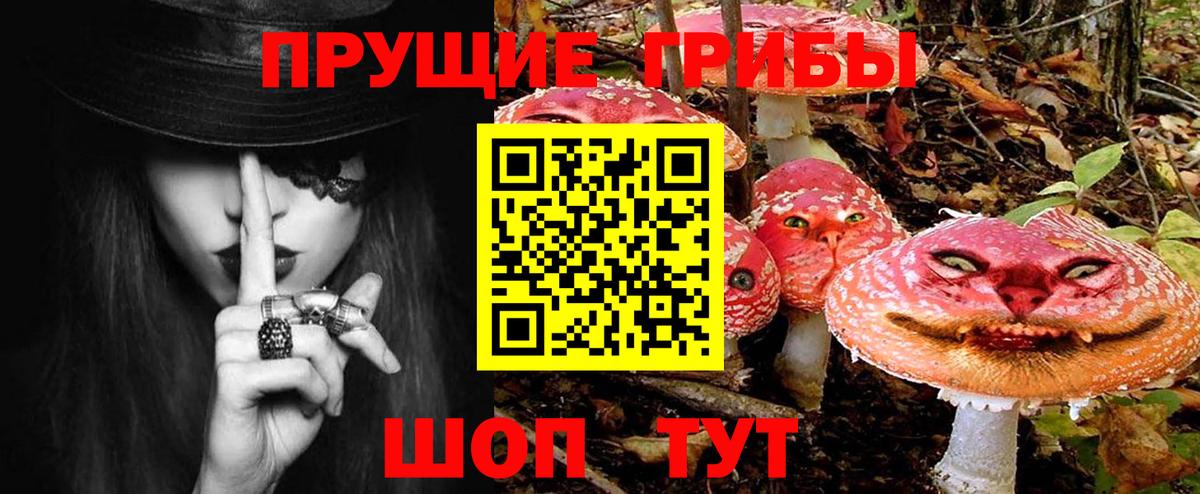 Галлюциногенные грибы мухоморы Вольск