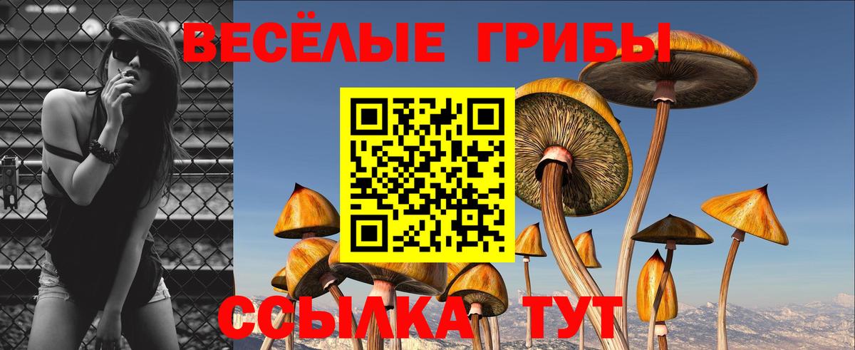 Псилоцибиновые грибы мухоморы  Вход с VPN  Вольск 